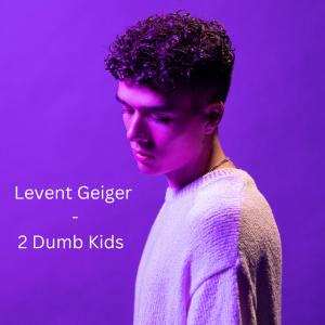 ดาวน์โหลดและฟังเพลง 2 Dumb Kids พร้อมเนื้อเพลงจาก Levent Geiger