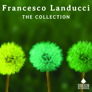 Francesco Landucci的專輯The collection