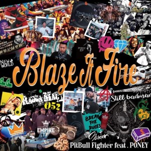 Listen to BLAZE IT FIRE (Explicit) song with lyrics from PitBull Fighter