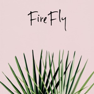 收聽Firefly的Firefly歌詞歌曲