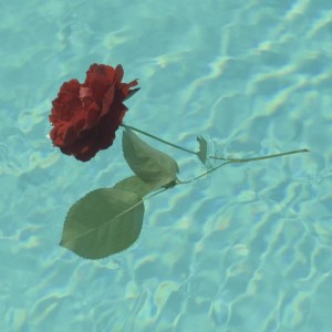 Album A Rose... oleh Ben L'Oncle Soul