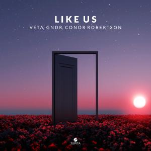 Listen to Like Us song with lyrics from VETA