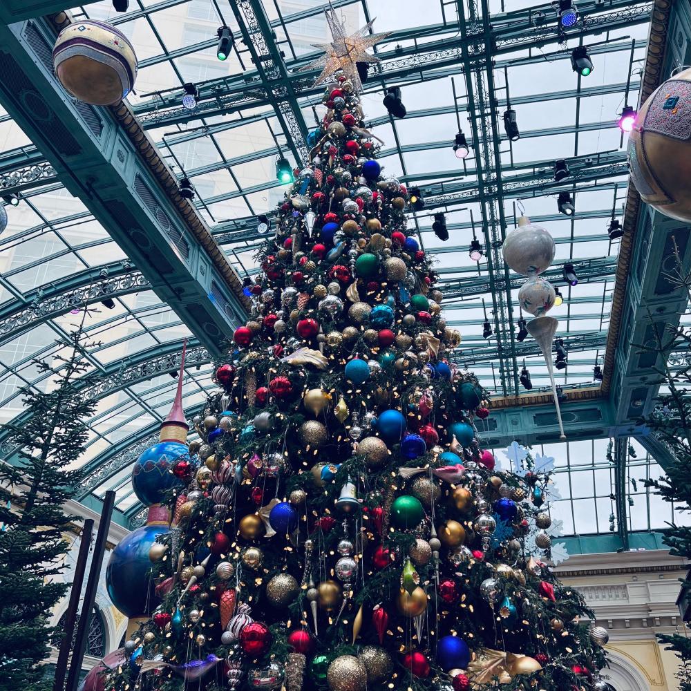 Christmas Joy