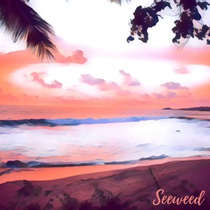 Listen to Beachside Chillin song with lyrics from Seeweed