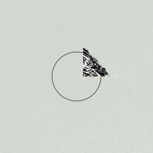 Album Not as I Do from Ron Pope
