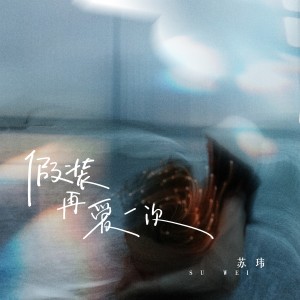Album 假装再爱一次 from 苏玮