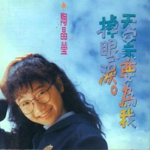 收听陶晶莹的会在相遇歌词歌曲
