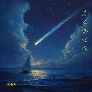 Listen to 怎么忘记你 (完整版) song with lyrics from 张智轩