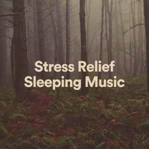 Album Stress Relief Sleeping Music oleh Music for Relaxing