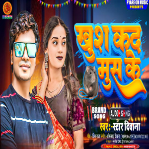 Album Khush Kda Mush Ke from Star Deewana