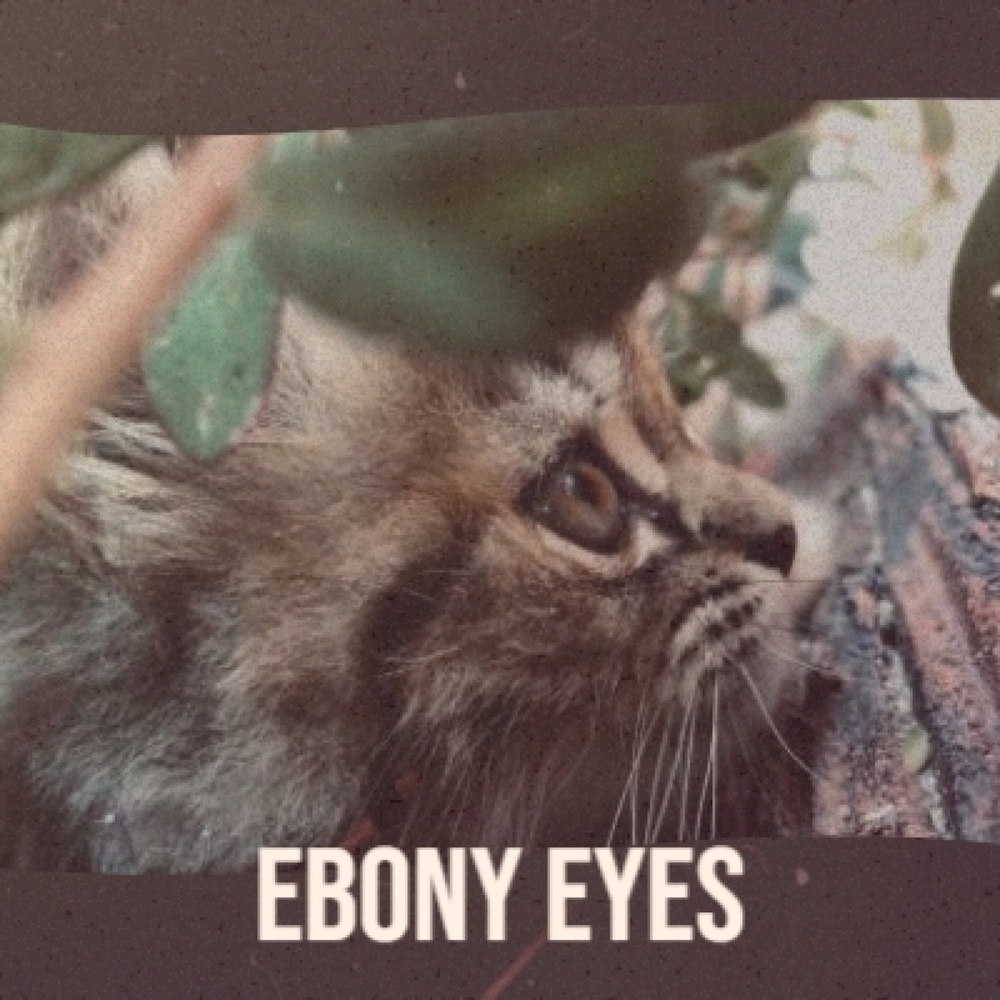 Ebony Eyes