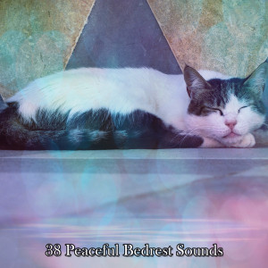 Album 38 Peaceful Bedrest Sounds oleh Relaxing Music For Sleeping