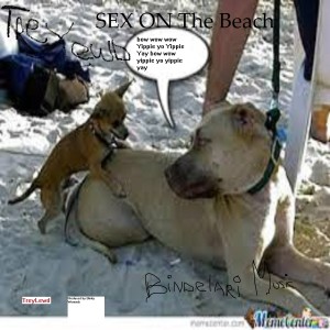 收聽Trey Lewd的Sex on the Beach (Explicit)歌詞歌曲