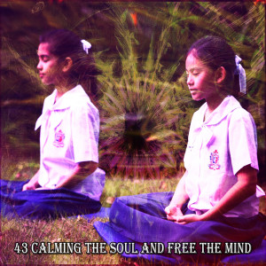43 Calming The Soul And Free The Mind