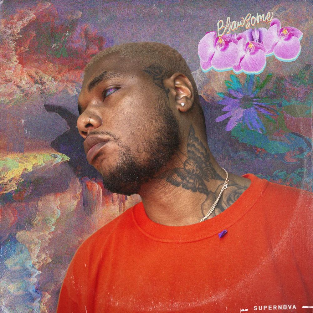 Sassicaia Flows (Explicit)