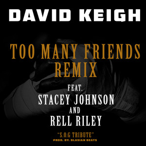 ดาวน์โหลดและฟังเพลง Too Many Friends (Remix) พร้อมเนื้อเพลงจาก David Keigh