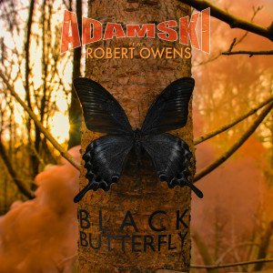 Black Butterfly dari Adamski