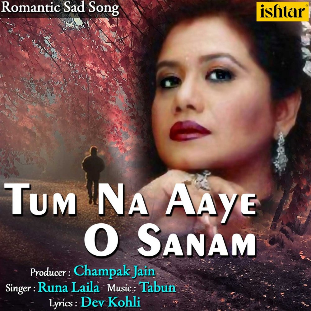 Tum Na Aaye O Sanam (Remix)