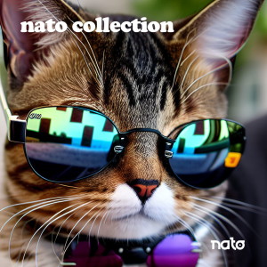 Listen to God Mode 2.0 (Explicit) song with lyrics from nato