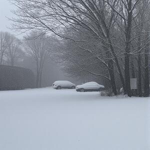 Listen to 차가운 마음 song with lyrics from Nanaimo Lee