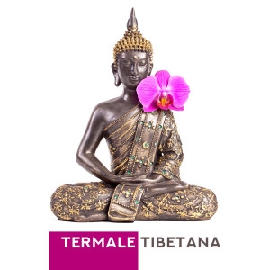 收聽Meditazione Zen Musica的Serenità歌詞歌曲