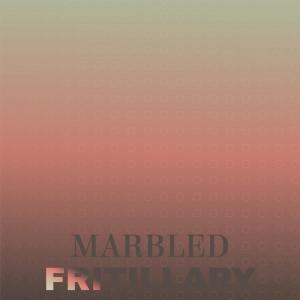 Dengarkan Orangeness Salsola lagu dari Mihael Miyer dengan lirik