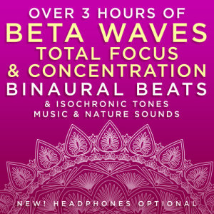ดาวน์โหลดและฟังเพลง Quick Intuitive Thinking - 20.6 Hz Beta Frequency Binaural Beats พร้อมเนื้อเพลงจาก Binaural Beats Research