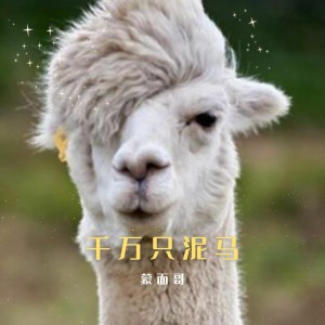 Album 千万只泥马 oleh 蒙面哥