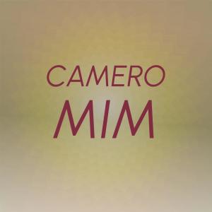 Various的专辑Camero Mim