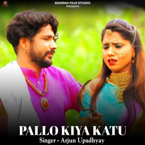 Listen to Palo Kiya Kaatu Rajasthani Lokgeet DJ Song song with lyrics from Arjun Upadhyay