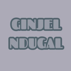 ดาวน์โหลดและฟังเพลง GINJEL NDUGAL พร้อมเนื้อเพลงจาก Komandan Leke