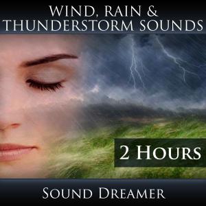 Wind, Rain and Thunderstorm Sounds (2 Hours)