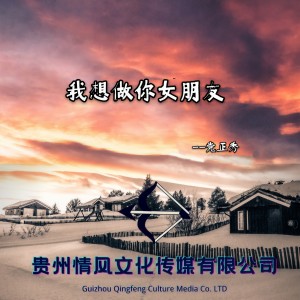 Album 我想做你女朋友 from 党正秀