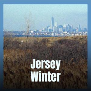 Listen to Jersey Winter song with lyrics from Clenn