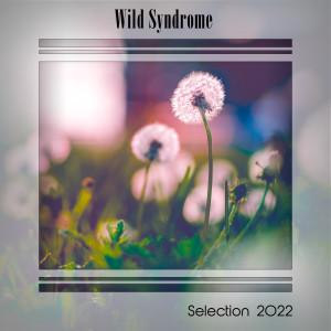 WILD SYNDROME SELECTION 2022 (Explicit) dari Various