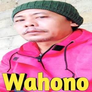 Listen to dj verde song with lyrics from Wahono