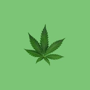 Listen to Love Song(feat. Ferrera, RZD & Seima.L) (Explicit) song with lyrics from SantanaSquad