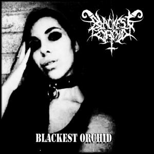 Dengarkan lagu Sinking Drakkar (Vocal) nyanyian Blackest Orchid dengan lirik