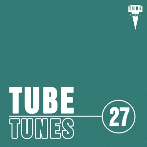 Various的專輯Tube Tunes, Vol. 27