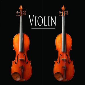 ดาวน์โหลดและฟังเพลง Fur Elise พร้อมเนื้อเพลงจาก Violin