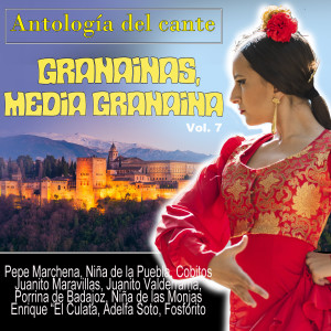 收听Adelfa Soto的Patroncita Granaina歌词歌曲