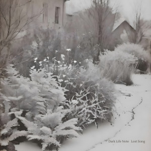 Listen to Lost Song song with lyrics from Dark Life Note