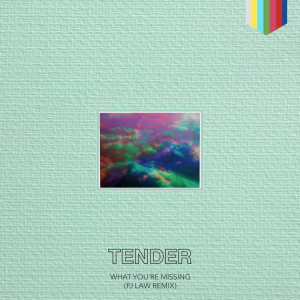 ดาวน์โหลดและฟังเพลง What You're Missing (FJ Law Remix) (Fj Law Remix) พร้อมเนื้อเพลงจาก TENDER