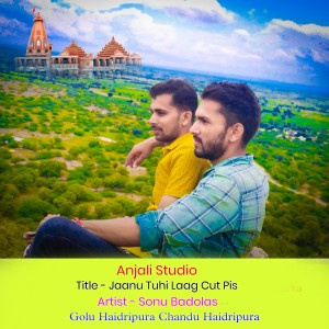 收聽Sonu Badolas的Jaanu Tuhi Laag Cut Pis歌詞歌曲