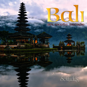 ดาวน์โหลดและฟังเพลง Communing with the Ancestors พร้อมเนื้อเพลงจาก Dan Gibson's Solitudes