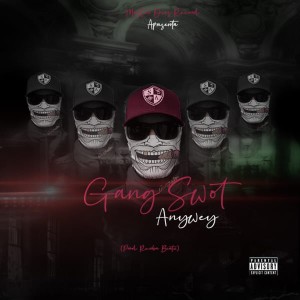ดาวน์โหลดและฟังเพลง Anyway (Explicit) พร้อมเนื้อเพลงจาก Gang Swot