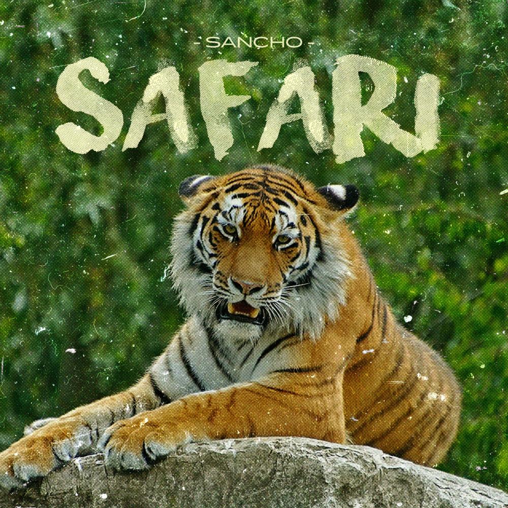 Safari