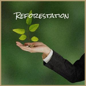 Album Reforestation oleh Various