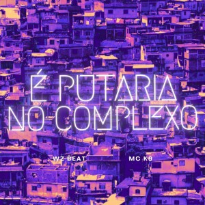 Album É Putaria no Complexo (Explicit) from WZ Beat