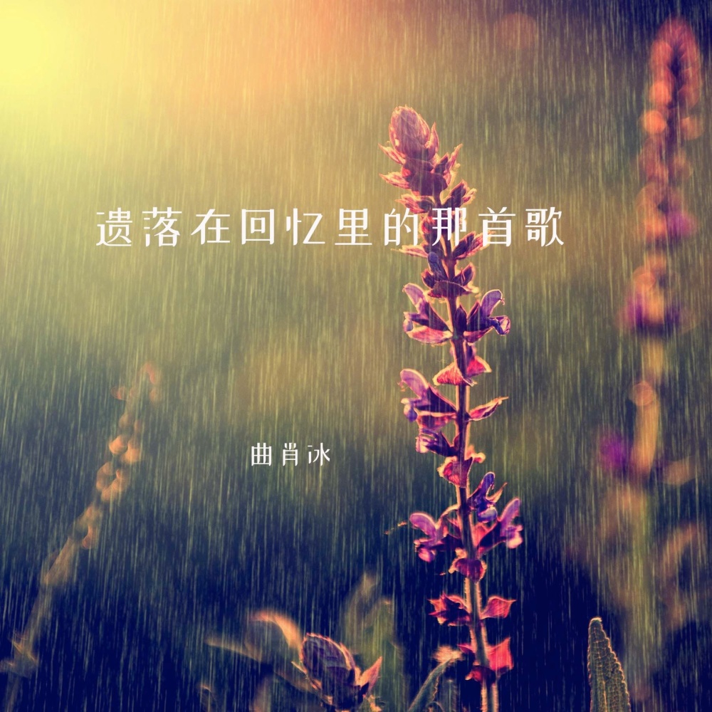 遗落在记忆里 (完整版)